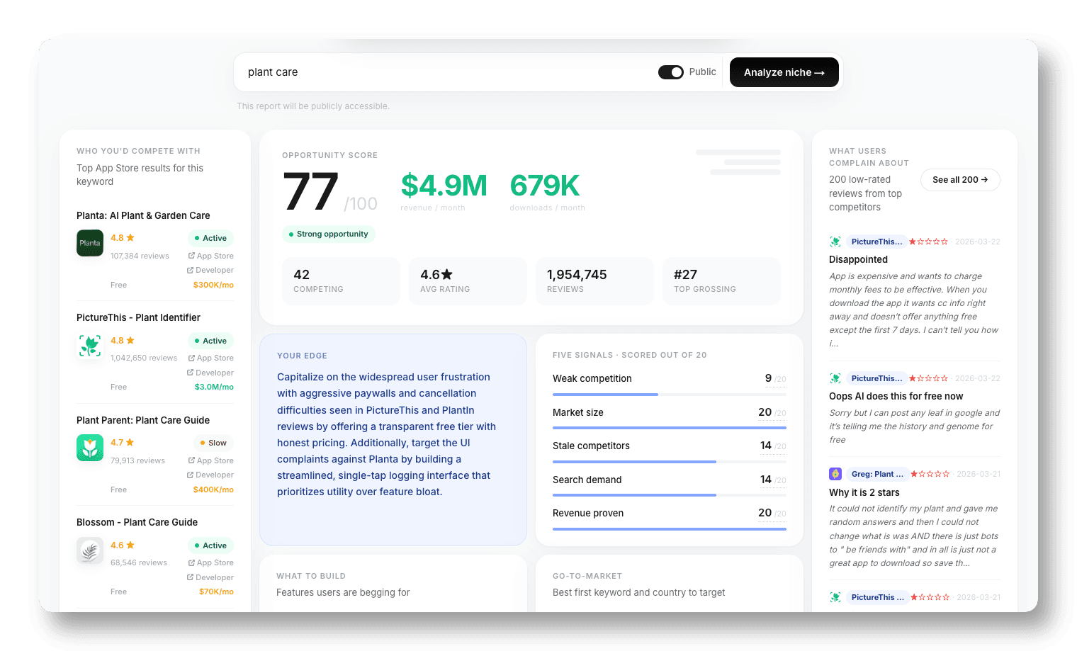 Niche report example